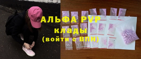 стаф Аркадак