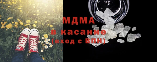 стаф Аркадак