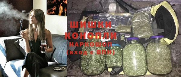 стаф Аркадак