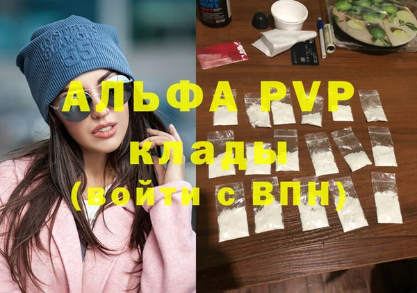 стаф Аркадак