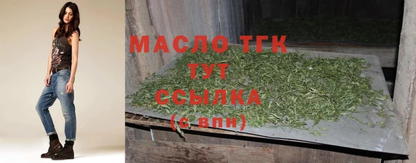 стаф Аркадак